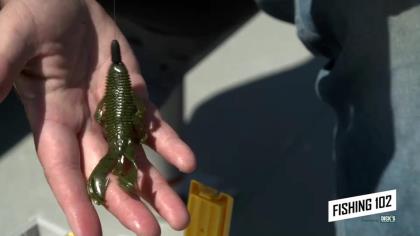 How to Use Texas and Carolina Rigs for Largemouth Bass