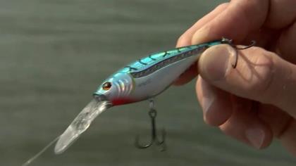 The Berkley Scented Flicker Shad REALLY STINKS