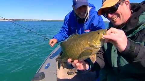 Drop-Shotting For Smallies