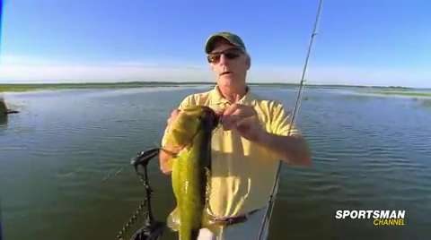 Specialized Techniques & Tactics