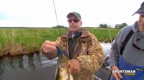 Swimming Jigs For Bass